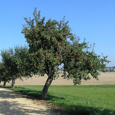 Fewo Muehlehof Konigshain Exteriör bild