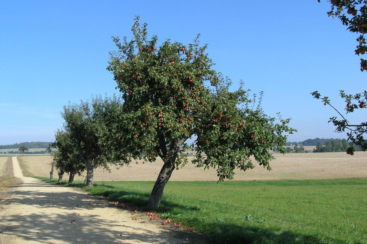Fewo Muehlehof Konigshain Exteriör bild